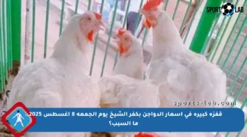 قفزة كبيرة في أسعار الدواجن بكفر الشيخ يوم الجمعة 8 أغسطس 2025.. ما السبب؟